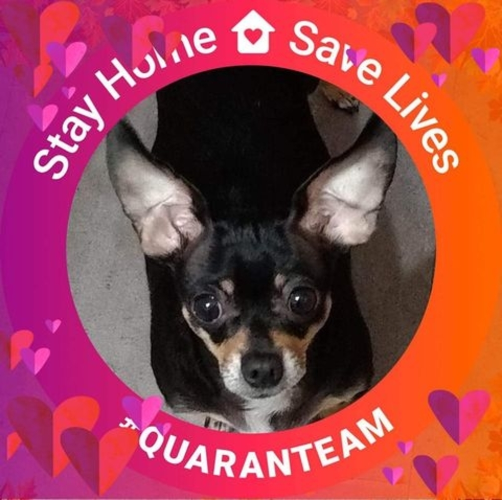 Meet your Posher, Lisa